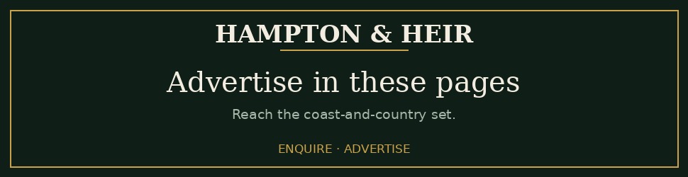 Advertisement